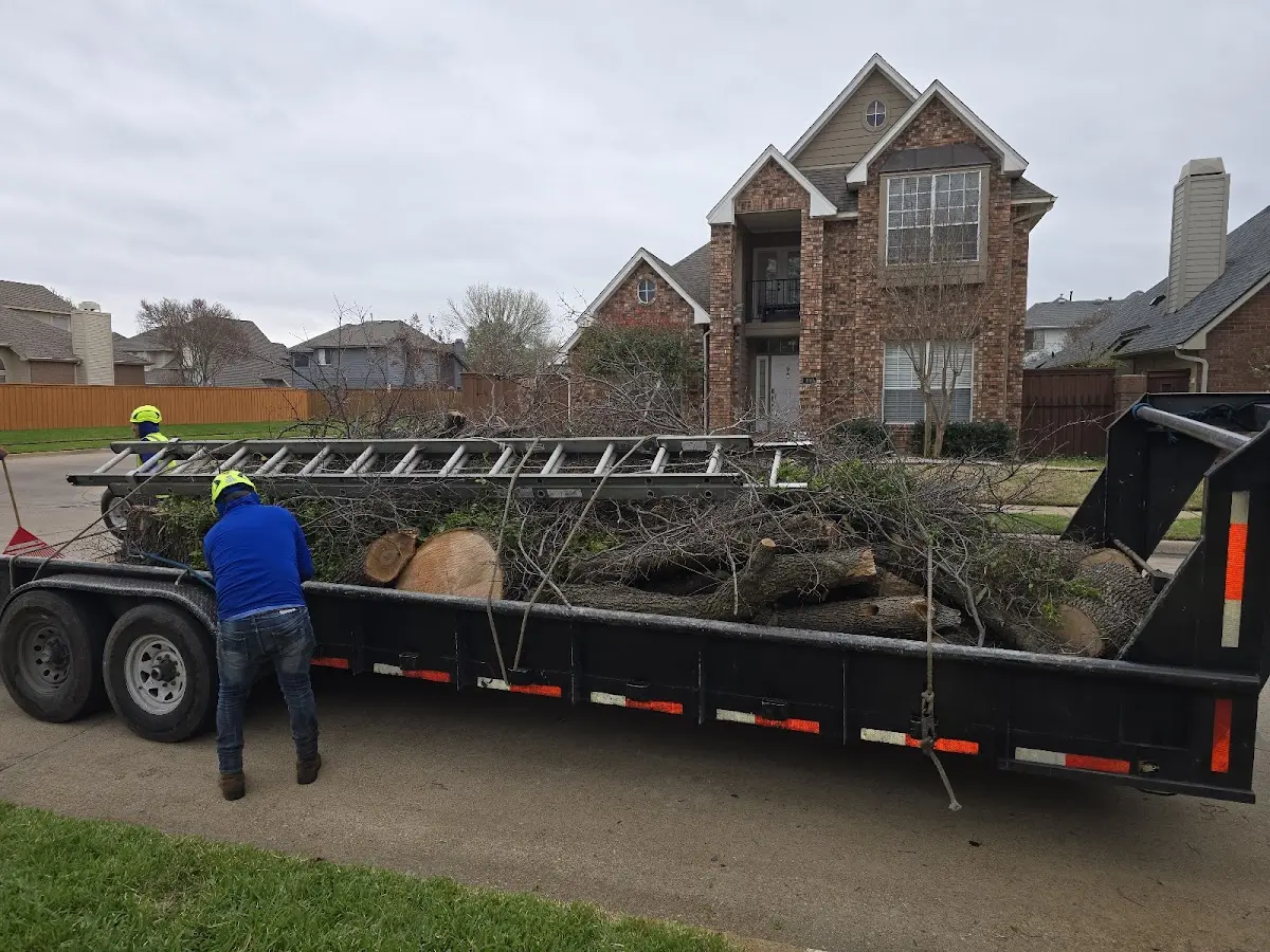 Expert Tree Removal with proper safety equipment in Bokoshe